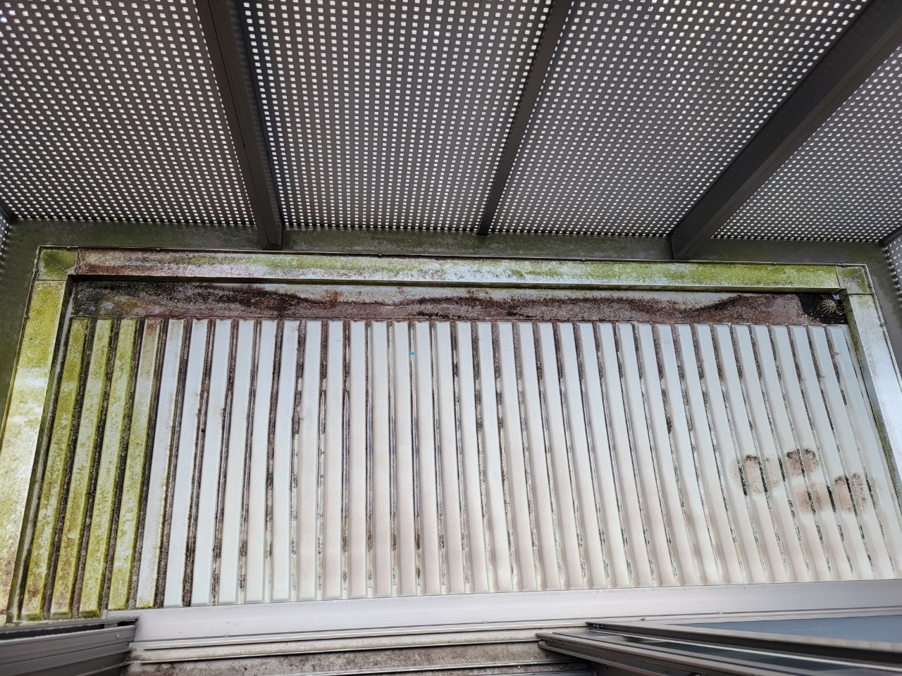 Before image