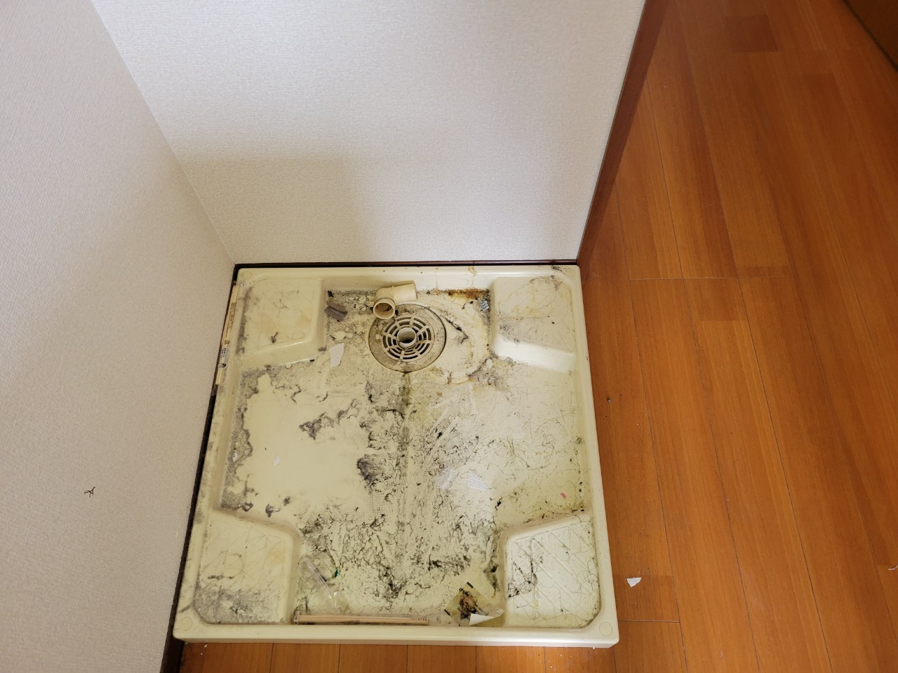 Before image
