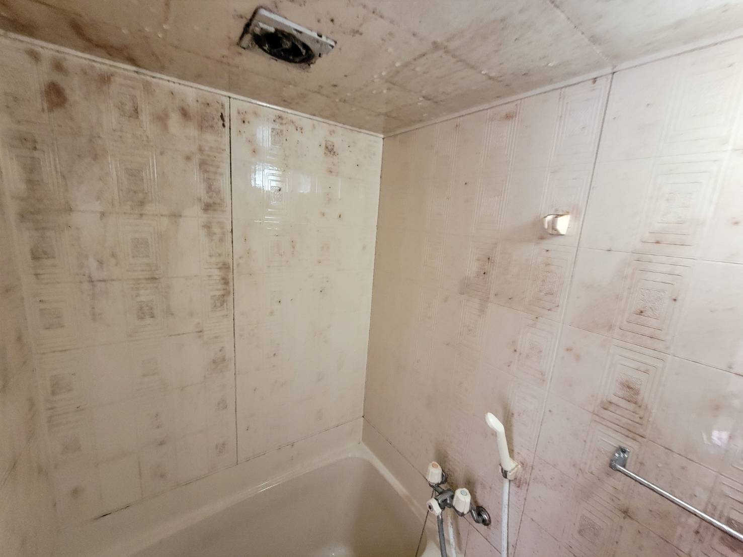 Before image